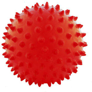 Pelota masaje
