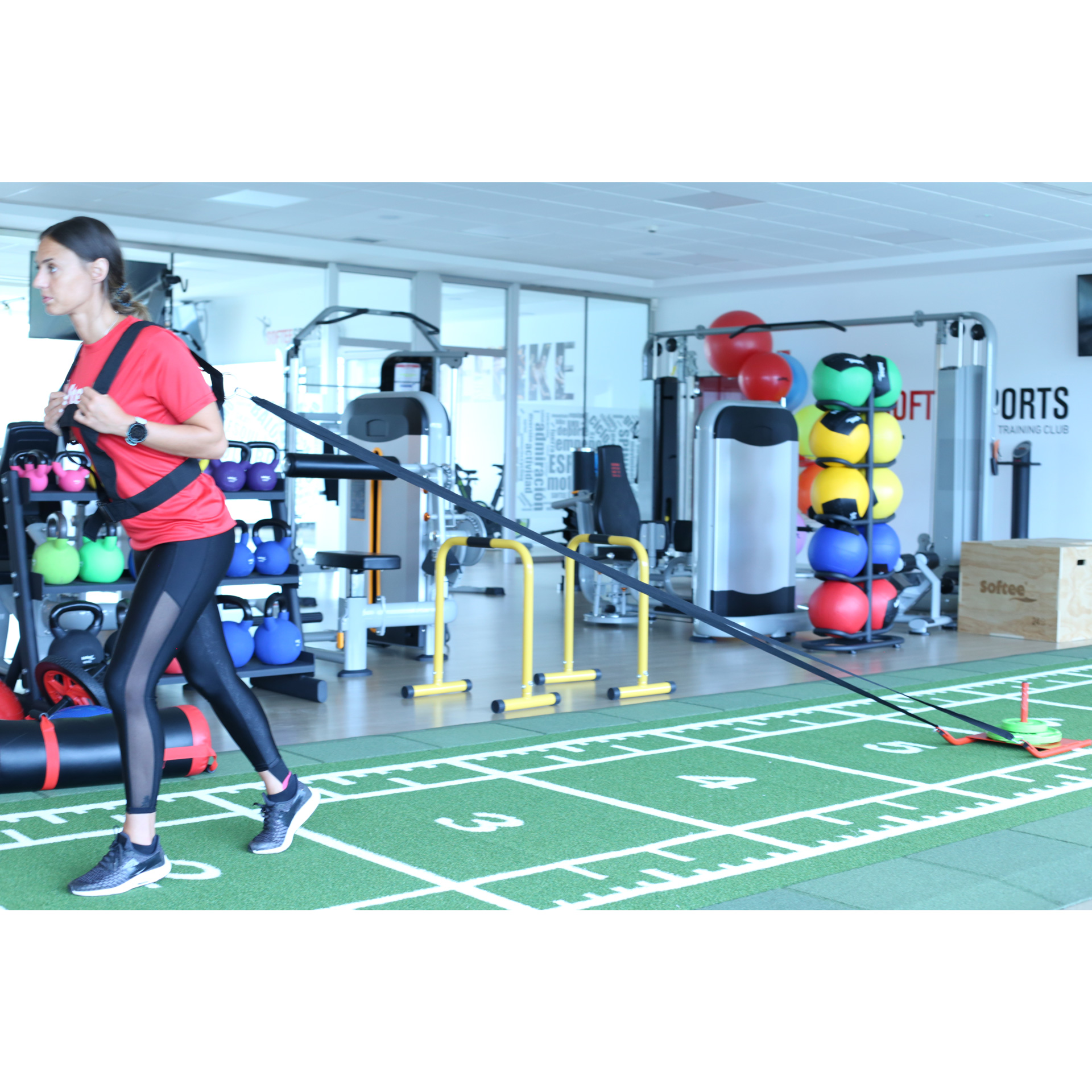 Trineo entrenamiento - Imagen 2