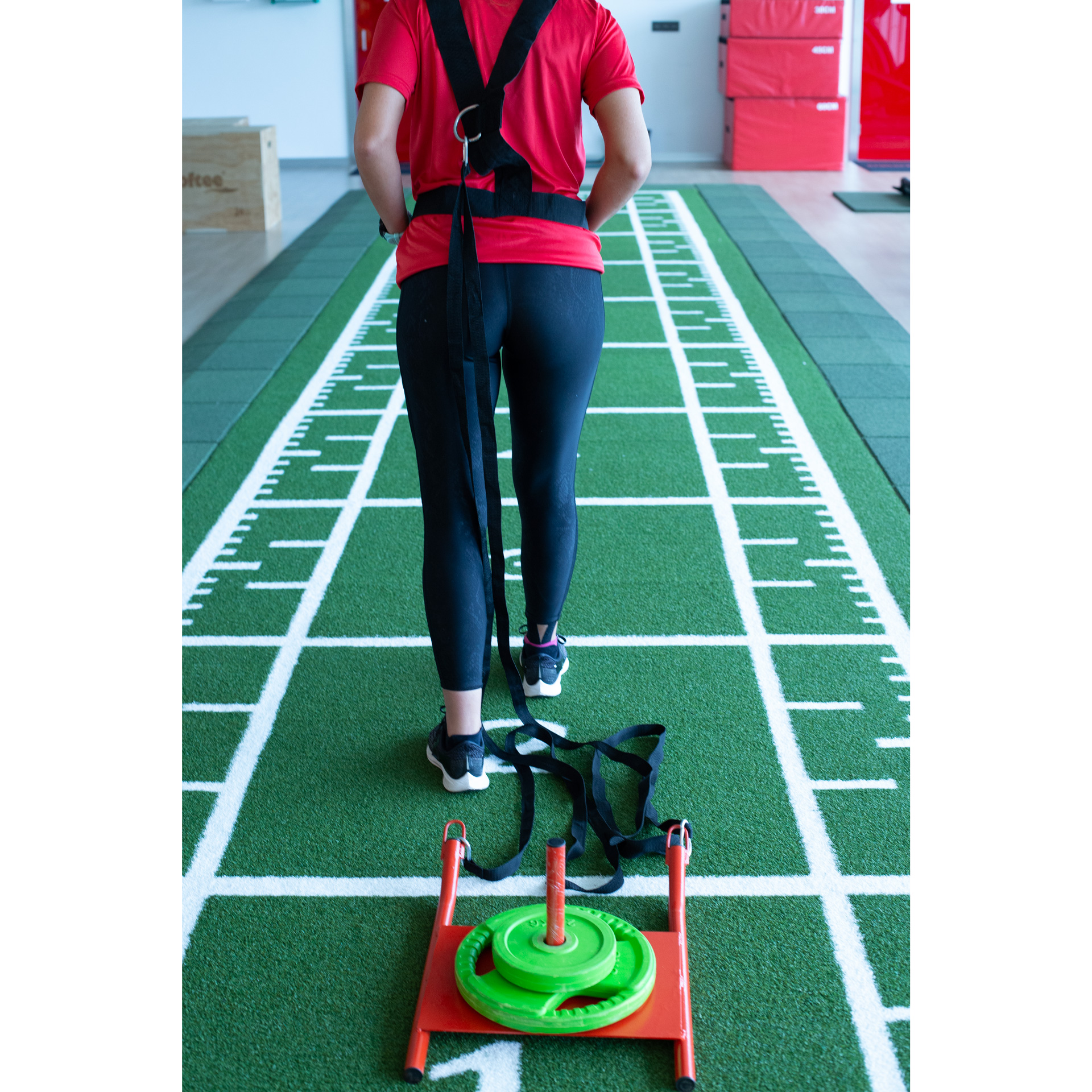 Trineo entrenamiento - Imagen 5